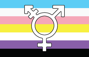 Update to G16-P011: Recognition of Trans and Non-Binary People and Respecting Gender Identity and Expression